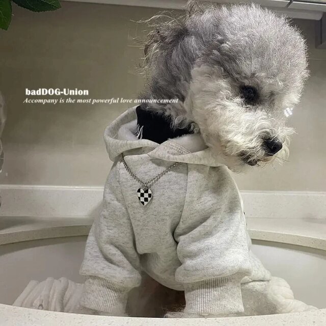 Sweat à capuche en coton imprimé lettre pour animaux de compagnie | vêtements pour chiens |  mode printemps et automne