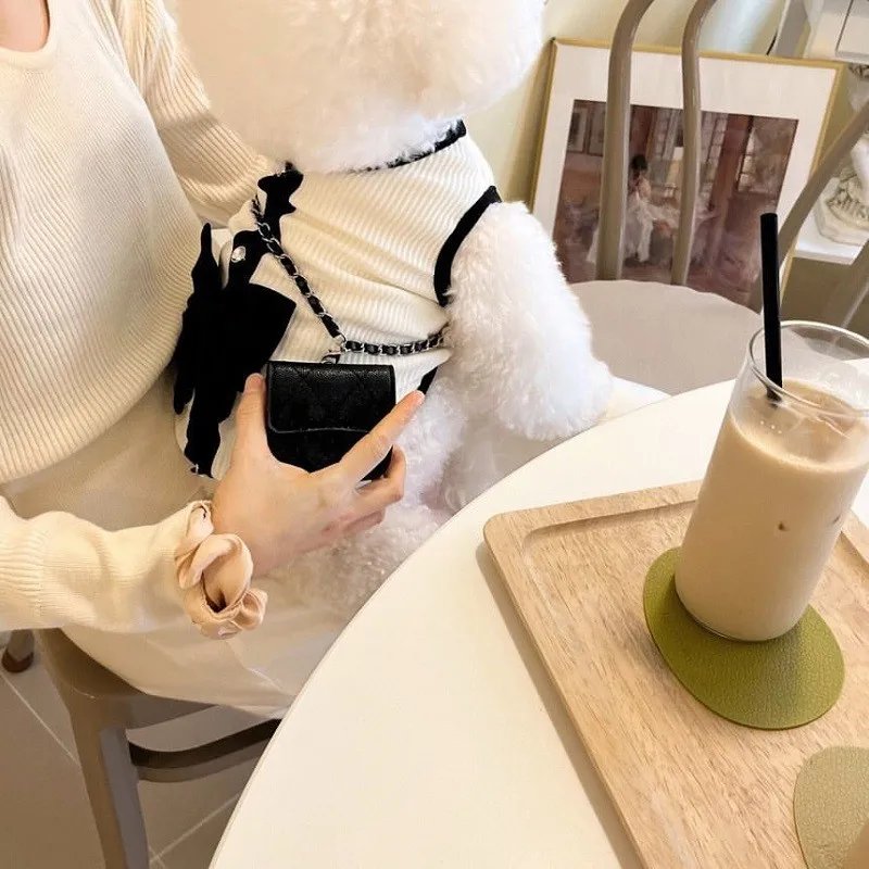 Robe de luxe pour petits chiens, vêtements d'été pour chiots, jupe en dentelle avec nœud, t-shirt pour chien noir et blanc, costume pour chien pour filles, émail Chihuahua