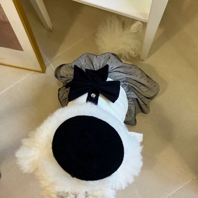 Robe de luxe pour petits chiens | vêtements d'été pour chiots | jupe en dentelle avec nœud | t-shirt pour chien noir et blanc, costume pour chien – Image 4