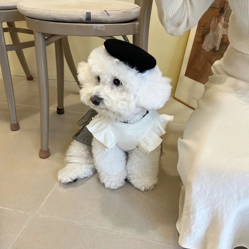 Robe de luxe pour petits chiens, vêtements d'été pour chiots, jupe en dentelle avec nœud, t-shirt pour chien noir et blanc, costume pour chien pour filles, émail Chihuahua