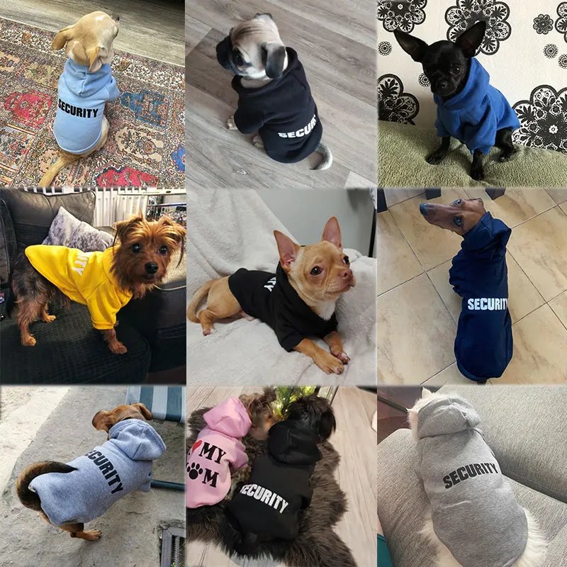 Vêtements de sécurité pour animaux de compagnie, veste combinée pour chat, sweats à capuche pour chats, tenue chaude pour animaux de compagnie, costume pour petits chiens, lapin