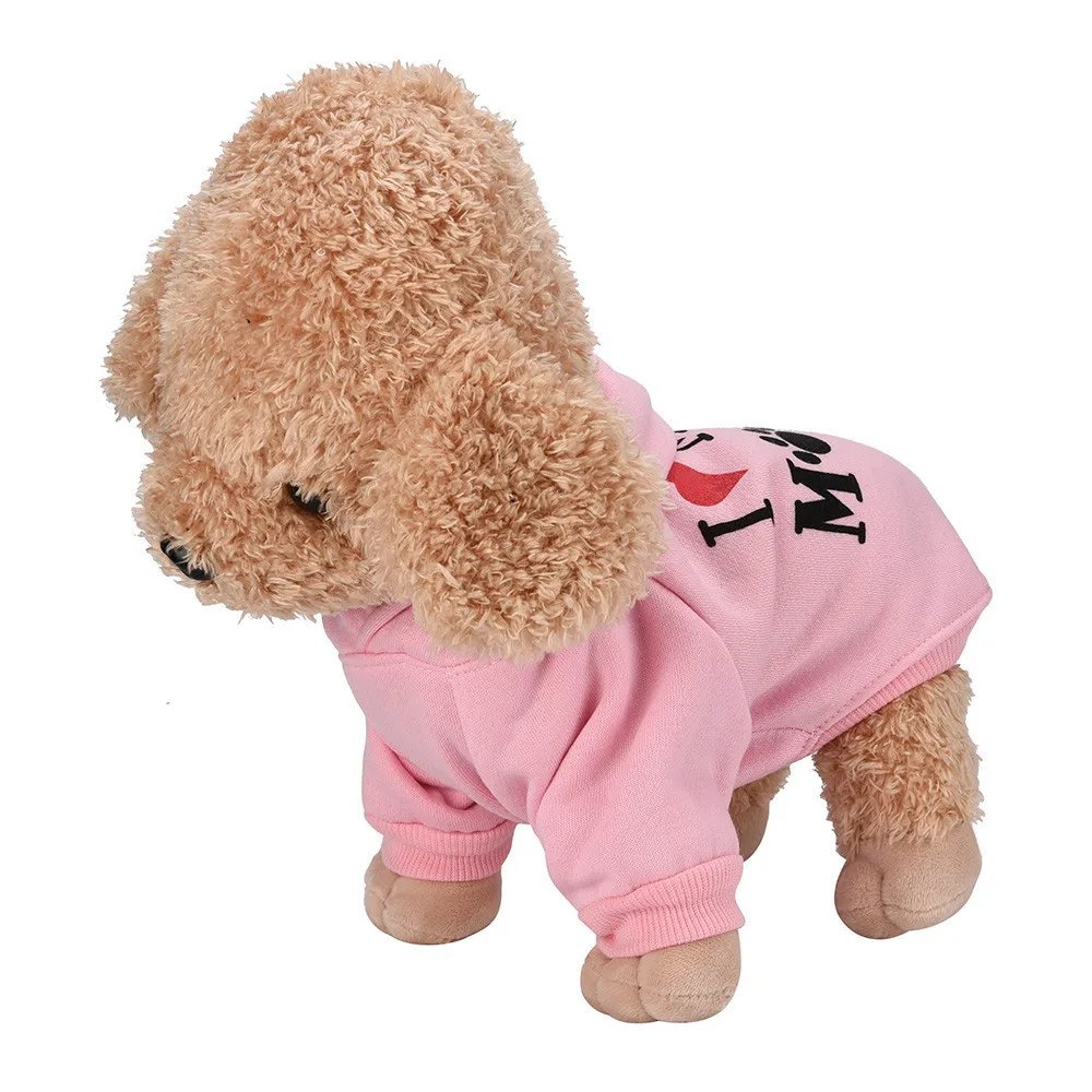 Vêtements de sécurité pour animaux de compagnie, veste combinée pour chat, sweats à capuche pour chats, tenue chaude pour animaux de compagnie, costume pour petits chiens, lapin
