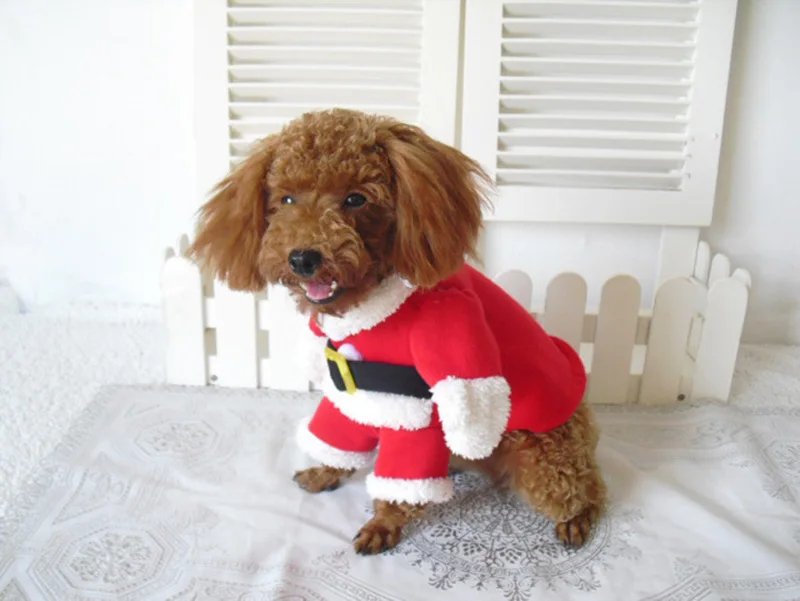 Costumes drôles de père Noël pour animaux de compagnie, vêtements de Noël, tenues de chaton, petits chats, chiens, Noël, nouvel an, hiver