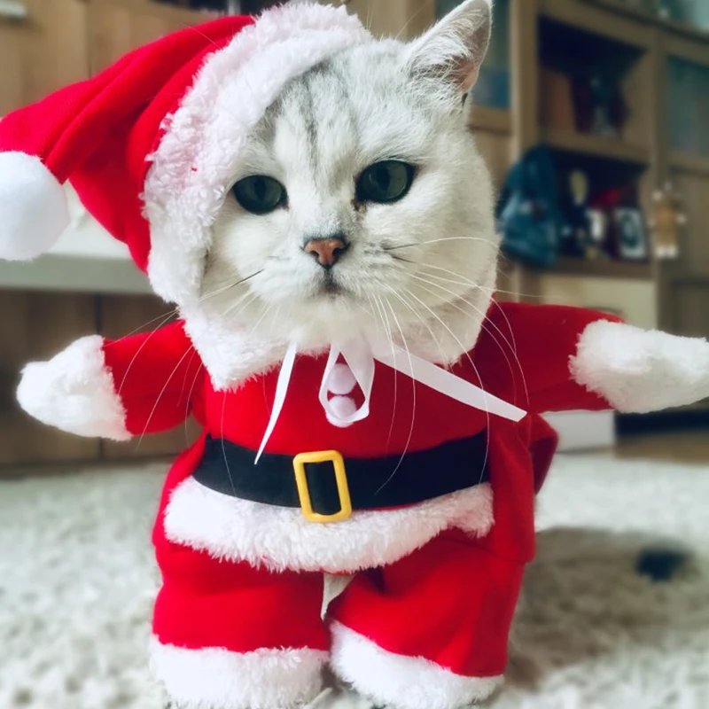 Costumes drôles de père Noël pour animaux de compagnie, vêtements de Noël, tenues de chaton, petits chats, chiens, Noël, nouvel an, hiver