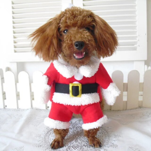 Costumes drôles de père Noël pour animaux de compagnie | vêtements de Noël | tenues de chats et chiens