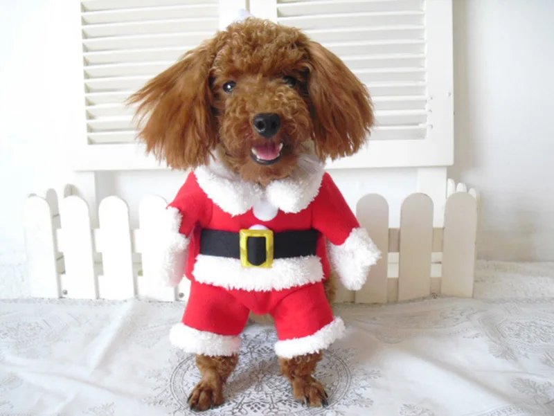 Costumes drôles de père Noël pour animaux de compagnie, vêtements de Noël, tenues de chaton, petits chats, chiens, Noël, nouvel an, hiver