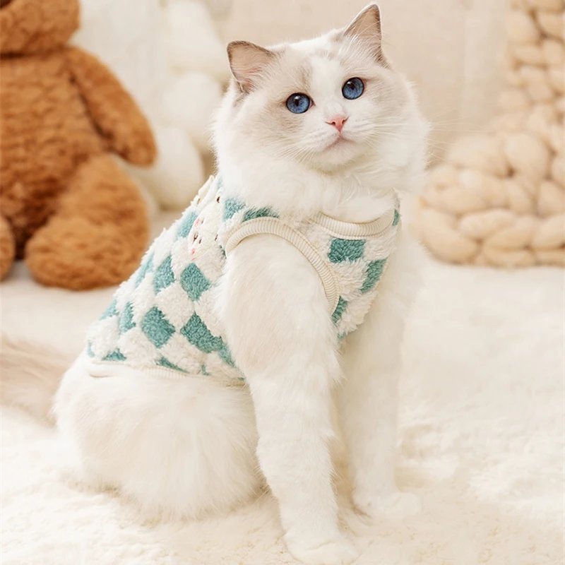 Vêtements d'hiver chauds pour chats sans poils, pull cardigan mignon pour animaux de compagnie, vêtements de costume Sphynx Kedi
