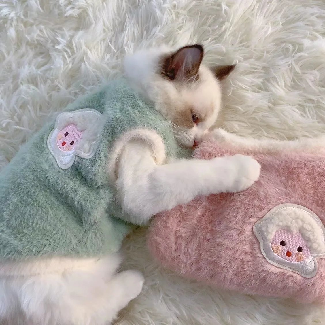 Vêtements en Fausse Fourrure de Lapin pour Animaux de Compagnie, Doux et Épais, Accessoires Chauds pour Chat, Glaçage en Peluche Monochromatique pour Chien, Fournitures pour Animaux de Compagnie, Hiver Vêtements en Fausse Fourrure de Lapin pour Animaux de Compagnie, Doux et Épais, Accessoires Chauds pour Chat, Glaçage en Peluche Monochromatique pour Chien, Fournitures pour Animaux de Compagnie, Hiver
