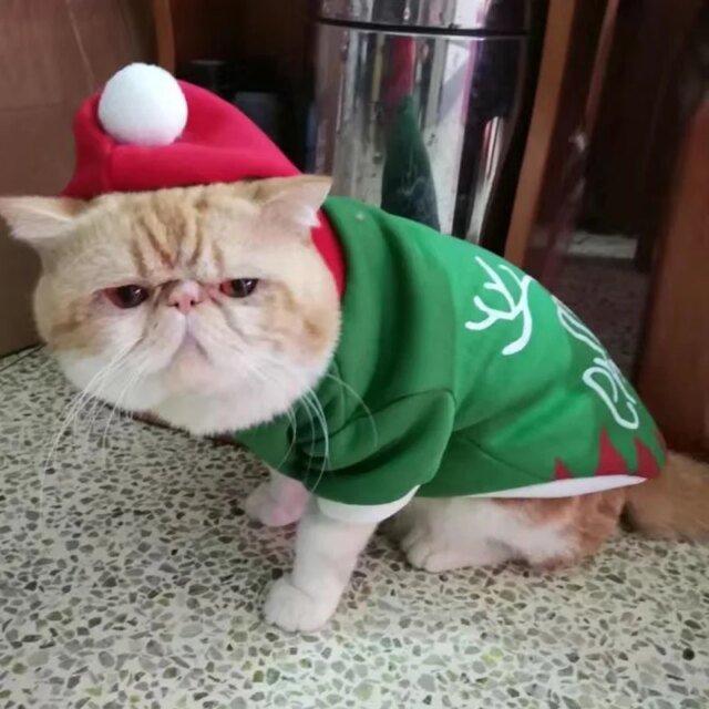 Pull à capuche pour chat | costume chaud pour animaux de compagnie | vêtements de Noël – Image 3