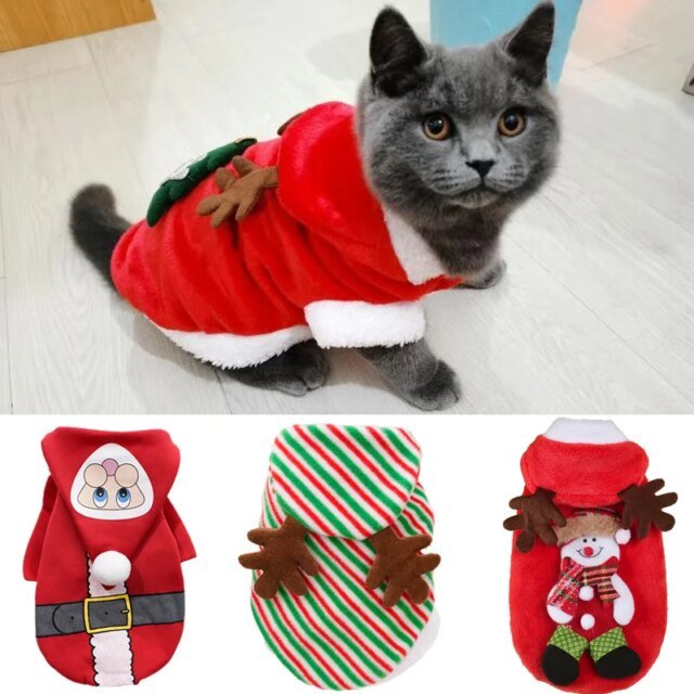 Pull à capuche pour chat | costume chaud pour animaux de compagnie | vêtements de Noël