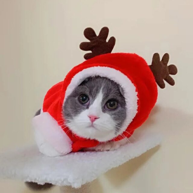 Pull à capuche pour chat | costume chaud pour animaux de compagnie | vêtements de Noël – Image 4
