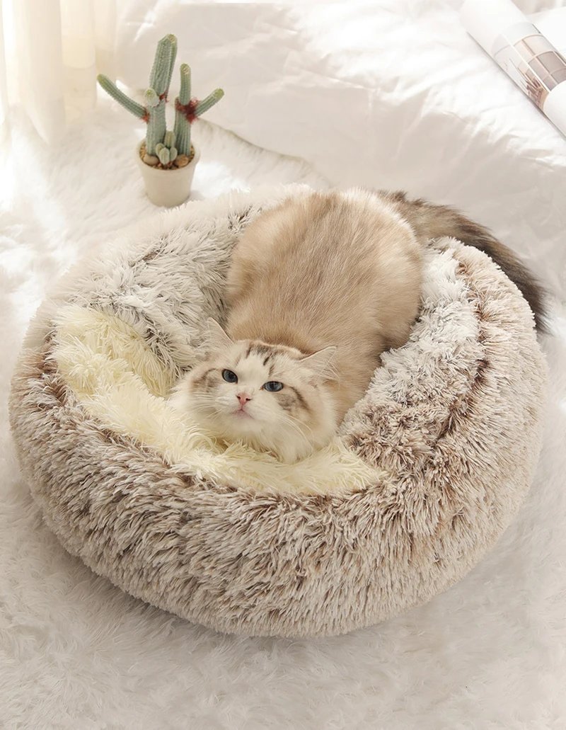 Matelas rond en peluche pour animaux de compagnie, lit chaud et doux avec housse, accent de couchage pour chat et chien, petit chien et chaton, diversification
