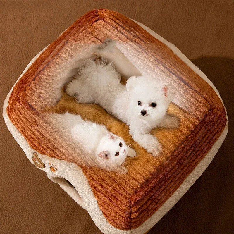 Maison pliable et étanche pour animaux de compagnie, accent de diversification pour petits chiens, chaton, chiot, coussin pour animaux de compagnie, lit pour chat, fournitures de tente, extérieur Maison pliable et étanche pour animaux de compagnie, accent de diversification pour petits chiens, chaton, chiot, coussin pour animaux de compagnie, lit pour chat, fournitures de tente, extérieur