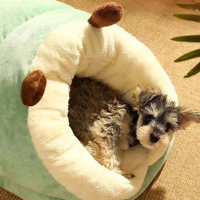 Maison pour animaux de compagnie en forme de pantoufles | lit de chenil | sac de couchage, pliable, lavable, respirant – Image 5