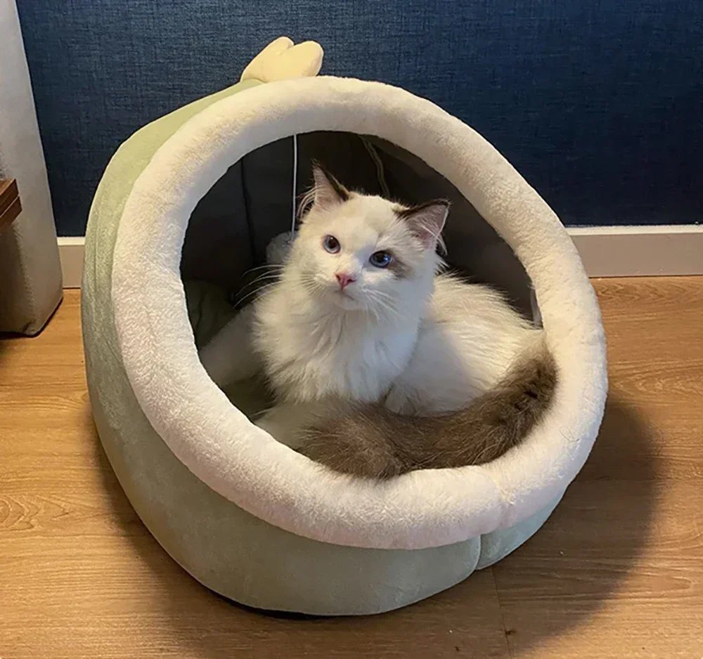 Niche Ronde pour Animaux de Compagnie, mir Confortable pour Chaton, Coussin de Chaise Longue, Tente pour Chien Niche Ronde pour Animaux de Compagnie, mir Confortable pour Chaton, Coussin de Chaise Longue, Tente pour Chien