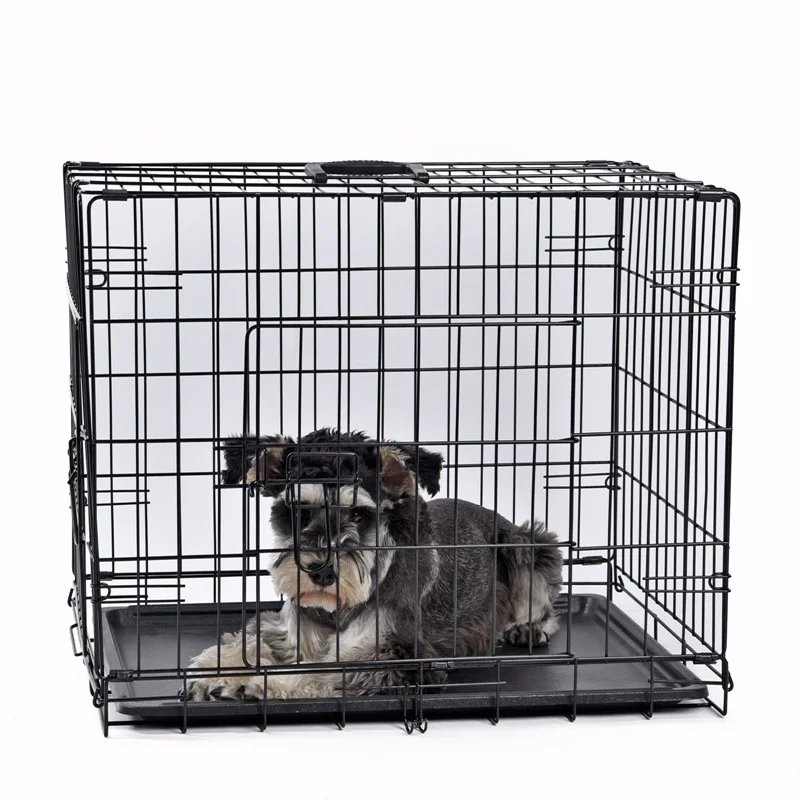 Niche Pliante en Fil de Fer pour Animaux de Compagnie, Abri pour Lapin, Chaton, Chat, Gerbille