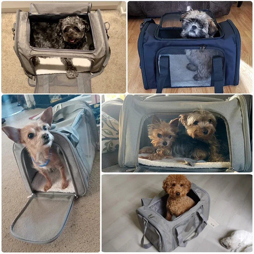 Sac à Dos Latéral Souple pour Chien et Chat, Sacoche de Voyage, Approuvé par la Compagnie Aérienne, Transport pour Petits Chiens et Chats