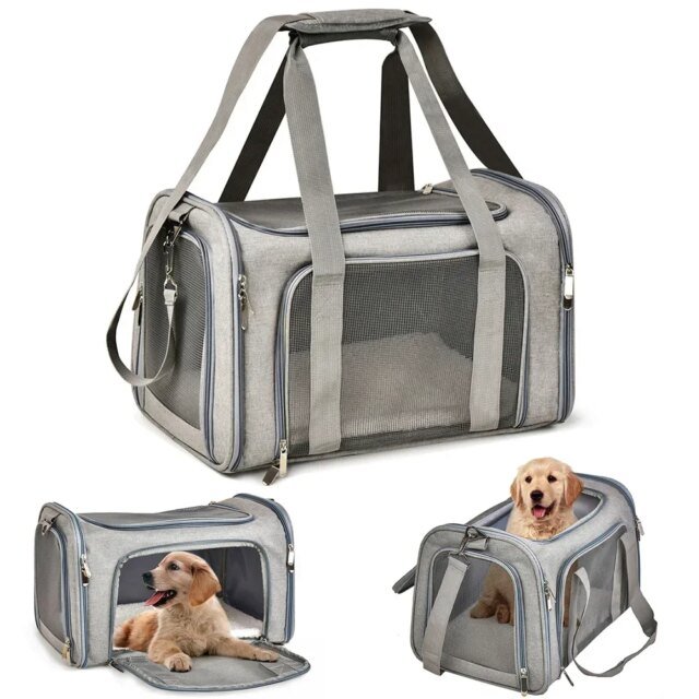 Sac à Dos pour Chien et Chat｜Transport pour Petits Chiens et Chats