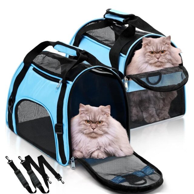 Sac à Main Portable en Maille Respirante pour Chat et Chien｜Accessoire de Transport Pliable