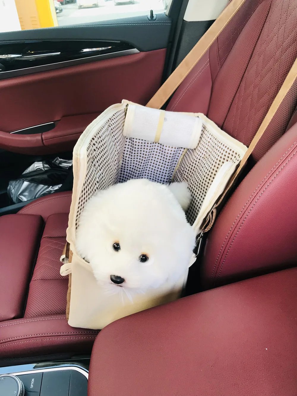 Sac à bandoulière portable pour animaux de compagnie, sac à main pour chien, siège de voiture non suspendu, produits sûrs pour animaux de compagnie, chat, petit chien Sac à bandoulière portable pour animaux de compagnie, sac à main pour chien, siège de voiture non suspendu, produits sûrs pour animaux de compagnie, chat, petit chien
