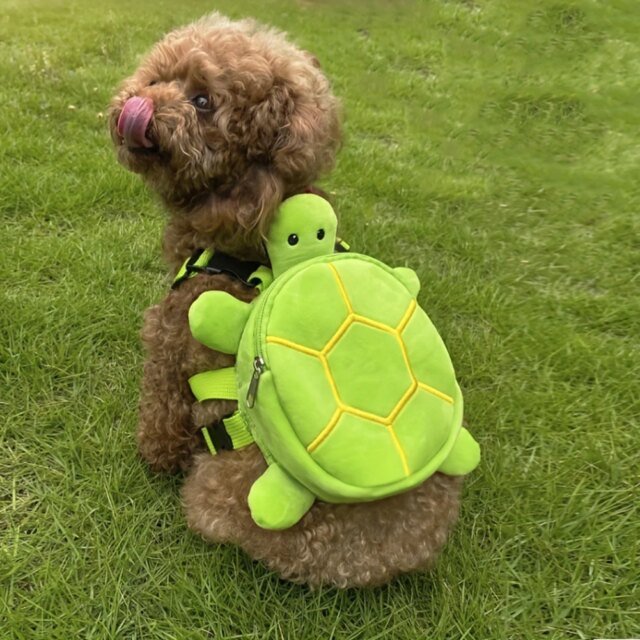 Sac à dos pour chien en forme de tortue de dessin animé