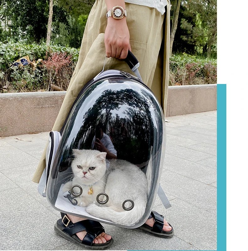 Sac de transport pour animaux de compagnie, sacs à dos pour animaux de compagnie, respirant, portable, transparent, chiot, chien, transport, Electrolux, capsule spatiale