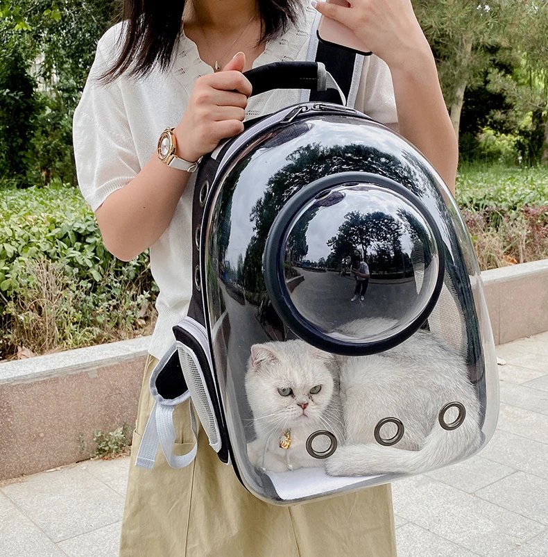 Sac de transport pour animaux de compagnie, sacs à dos pour animaux de compagnie, respirant, portable, transparent, chiot, chien, transport, Electrolux, capsule spatiale