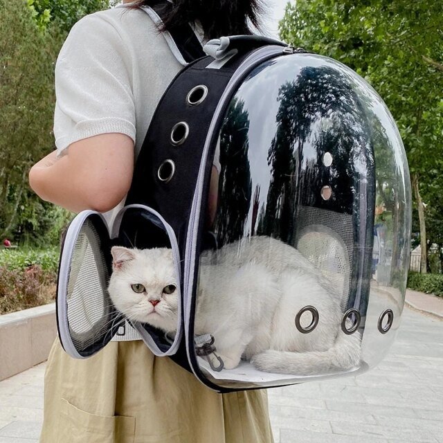 Sac de transport pour animaux de compagnie | sacs à dos pour animaux de compagnie – Image 6