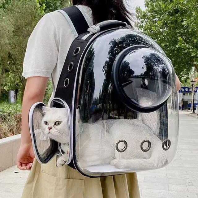 Sac de transport pour animaux de compagnie | sacs à dos pour animaux de compagnie