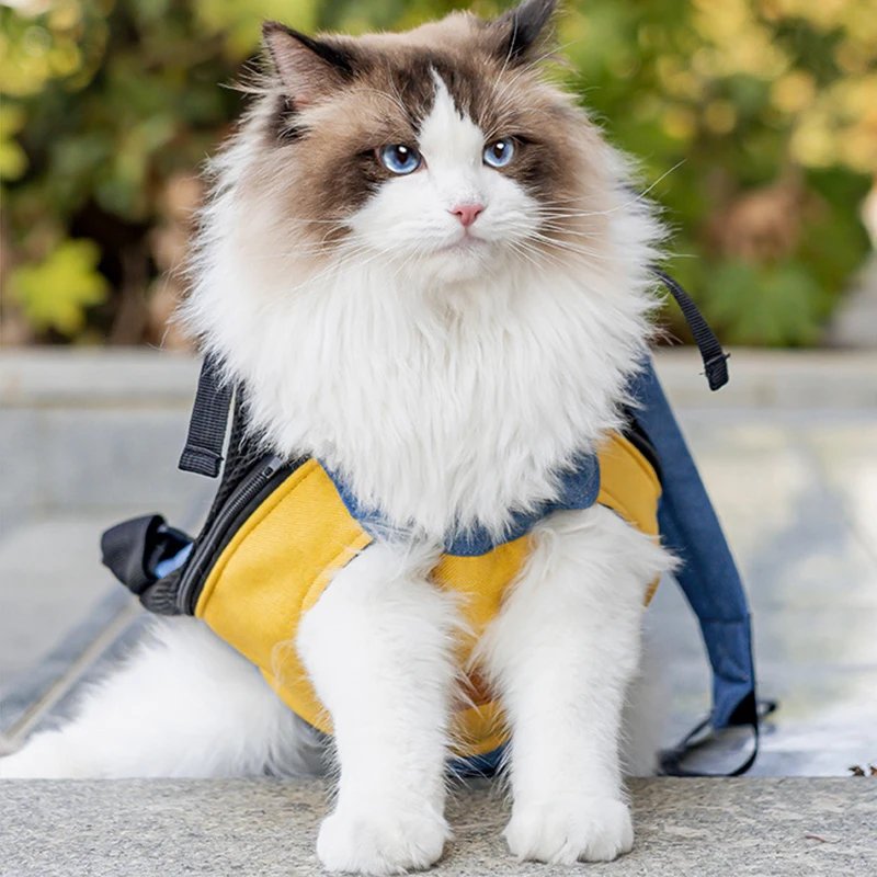 Sac de transport en toile de coton pour chat, sac à dos design pour chat, fournitures pour chaton