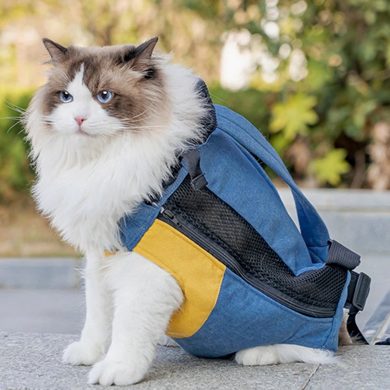 Sac de transport en toile de coton pour chat, sac à dos design pour chat, fournitures pour chaton