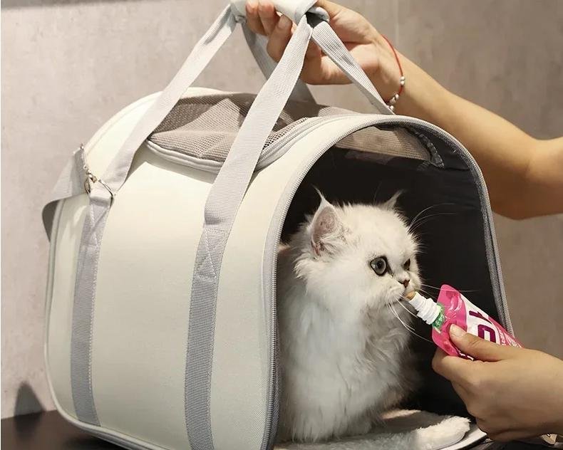Sac à main portable respirant pour animaux de compagnie, sortie pour animaux de compagnie, été, Electrolux, voyage, chiot, chaton, initié unique, fournitures de transport Sac à main portable respirant pour animaux de compagnie, sortie pour animaux de compagnie, été, Electrolux, voyage, chiot, chaton, initié unique, fournitures de transport
