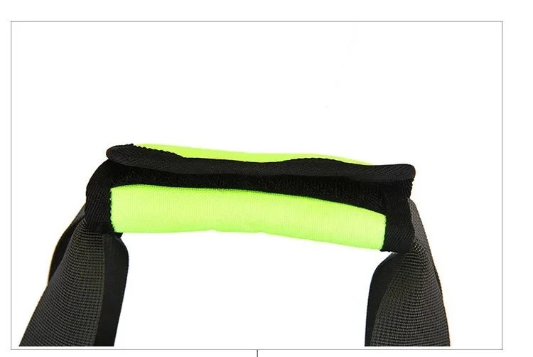 Sac à dos portable Electrolux pour animaux de compagnie, sac à bandoulière respirant, grande capacité, élingues pour petits animaux de compagnie, chats et chiens, sortie