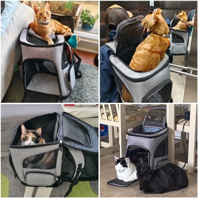 Sac à dos respirant pour animaux de compagnie – Image 5