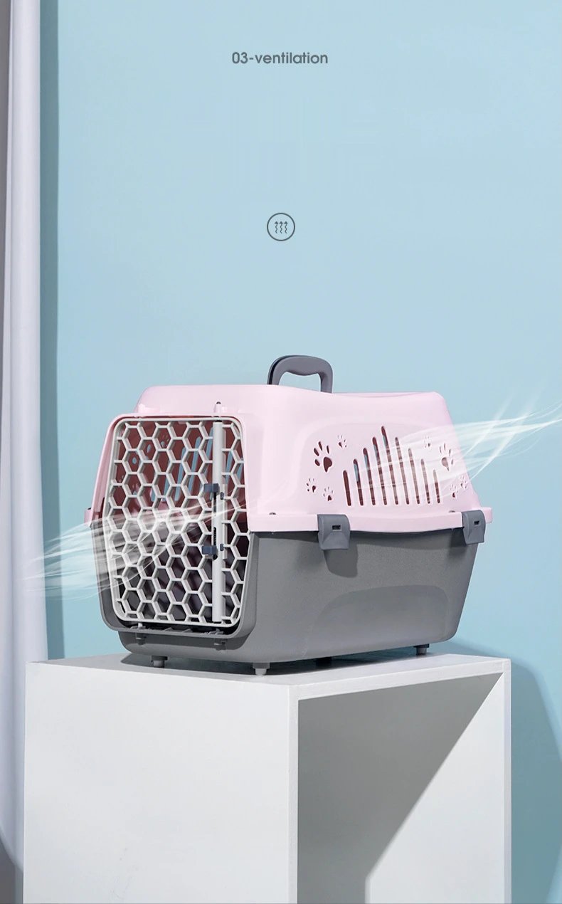 Petit transporteur extérieur pour animaux de compagnie boîte de chat boîte de transport de voyage respirante durable chaton chiot lapin Cage compagnie aérienne Cage de transport approuvée Petit transporteur extérieur pour animaux de compagnie boîte de chat boîte de transport de voyage respirante durable chaton chiot lapin Cage compagnie aérienne Cage de transport approuvée