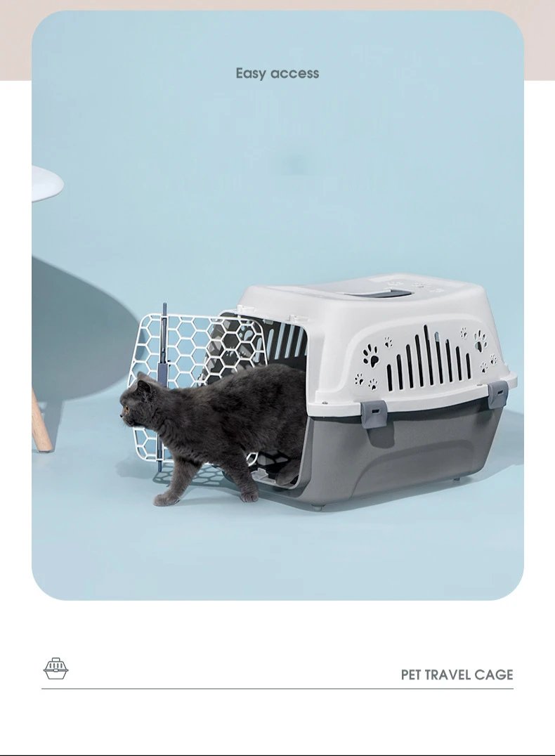 Petit transporteur extérieur pour animaux de compagnie boîte de chat boîte de transport de voyage respirante durable chaton chiot lapin Cage compagnie aérienne Cage de transport approuvée Petit transporteur extérieur pour animaux de compagnie boîte de chat boîte de transport de voyage respirante durable chaton chiot lapin Cage compagnie aérienne Cage de transport approuvée