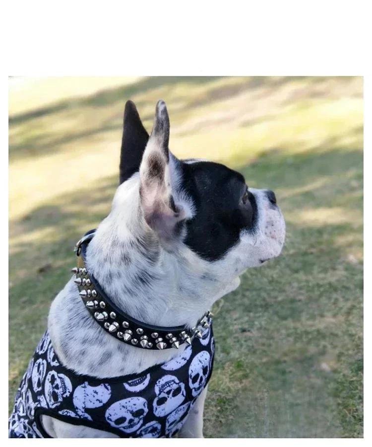 Sangle de cou réglable en cuir PU pour animal de compagnie, collier à pointes, fournitures pour chien, rivet punk, petits chiens et chats Sangle de cou réglable en cuir PU pour animal de compagnie, collier à pointes, fournitures pour chien, rivet punk, petits chiens et chats