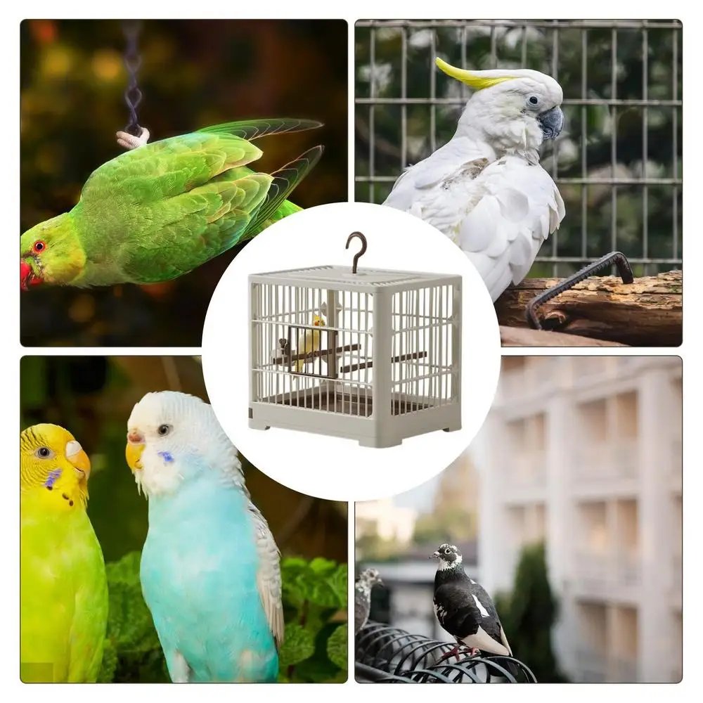 Jos Bird Travel Electrolux-Porte-oiseaux ornemental, caractéristiques de l'age de l'alcool pour oiseaux, poignées sur pied, escalade amovible et poignée à crochet pour perruches