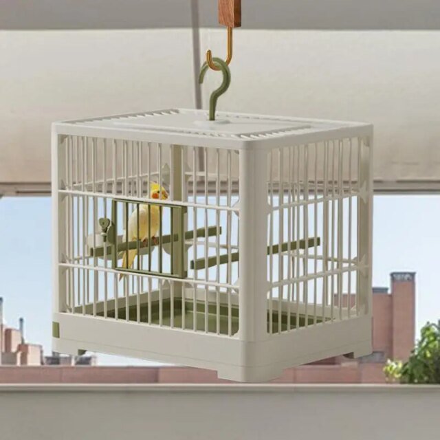 cage à oiseaux – Image 3