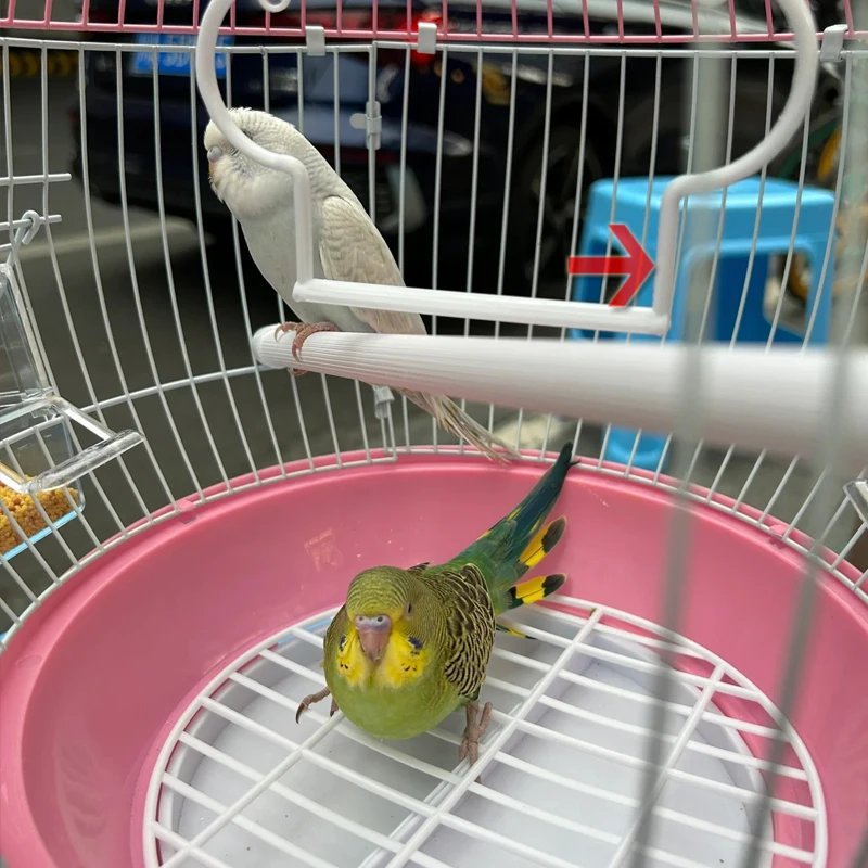 Mini cage à oiseaux en forme de sphères, cage ornementale debout, accent de perroquet, facile à nettoyer, cage de vol d'oiseau d'élevage, maison