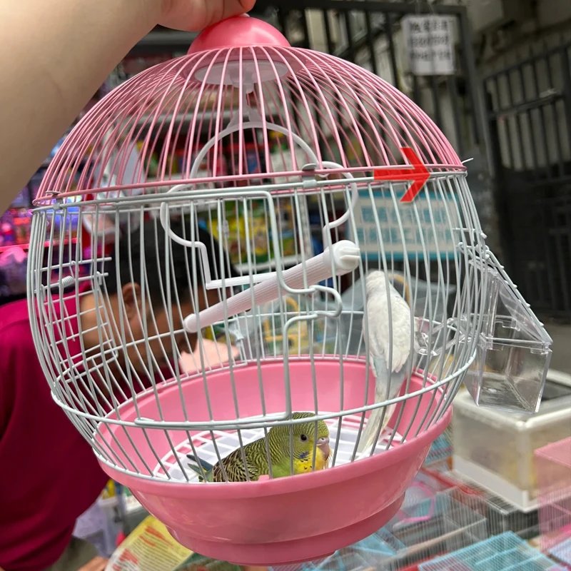 Mini cage à oiseaux en forme de sphères, cage ornementale debout, accent de perroquet, facile à nettoyer, cage de vol d'oiseau d'élevage, maison