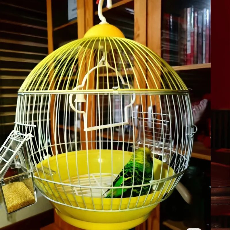 Mini cage à oiseaux en forme de sphères, cage ornementale debout, accent de perroquet, facile à nettoyer, cage de vol d'oiseau d'élevage, maison
