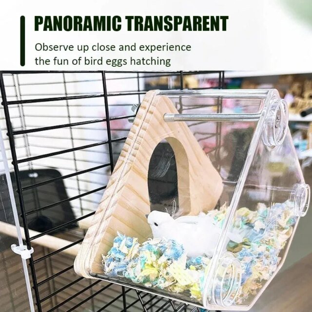 Nid d'Oiseau Transparent | Maison d'Élevage de Perroquets – Image 2