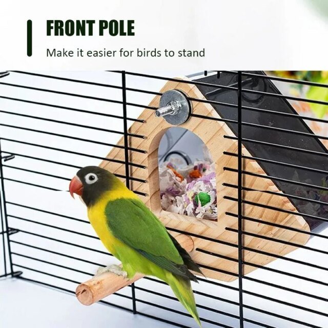 Nid d'Oiseau Transparent | Maison d'Élevage de Perroquets – Image 4