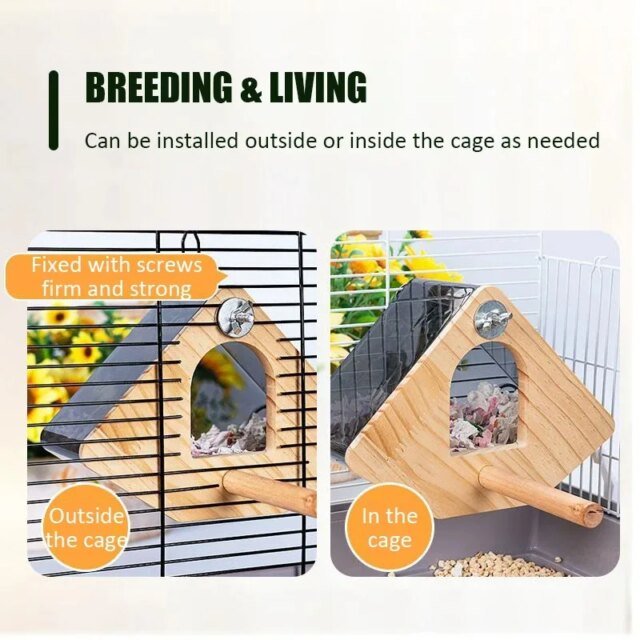 Nid d'Oiseau Transparent | Maison d'Élevage de Perroquets – Image 3