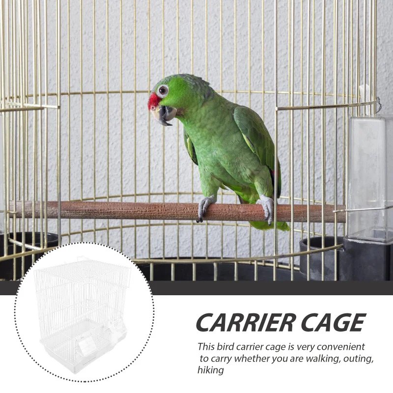 Cage à oiseaux en fer forgé pour voyage, cage pour perroquet, calopsitte, fil pour animaux de compagnie, déterminer le transport, grive