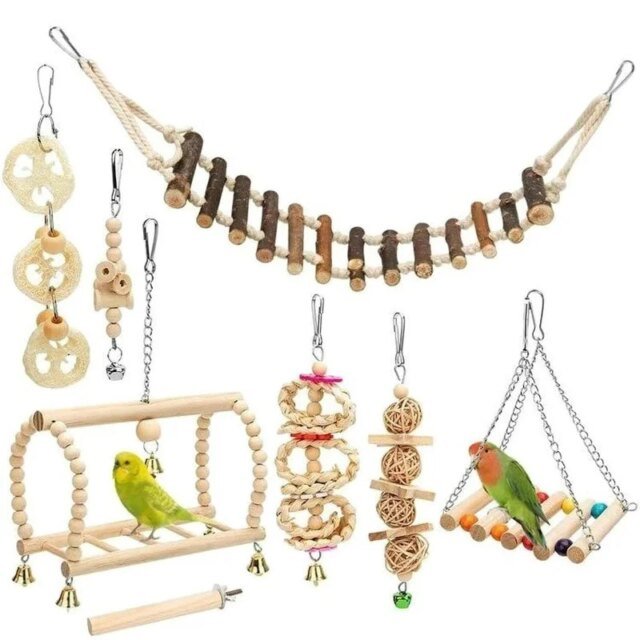 Ensemble de jouets en bois pour oiseaux de compagnie | jouets pour perroquet debout
