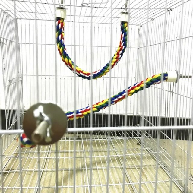 Corde à perroquet tressée et colorée – Image 6