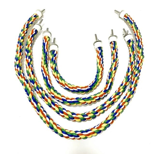 Corde à perroquet tressée et colorée
