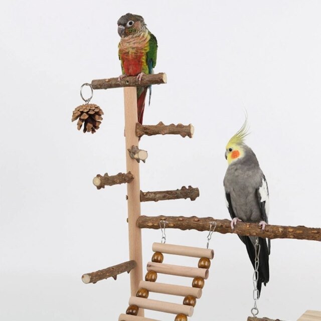 Jouet de balançoire pour oiseaux | support de jeu | aire de jeux – Image 3